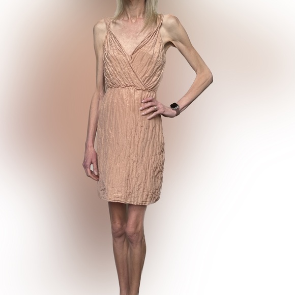 Banana Republic | blush crinkle dress - Picture 6 of 15